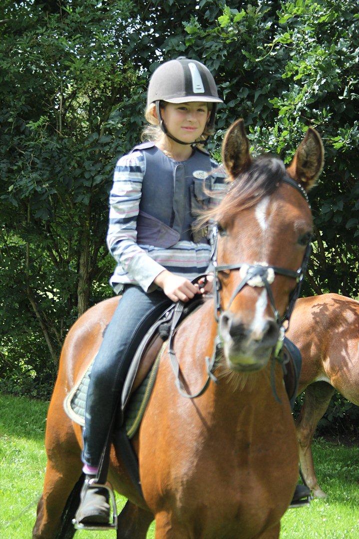 Anden særlig race Calvados  - :) <3 billede 14