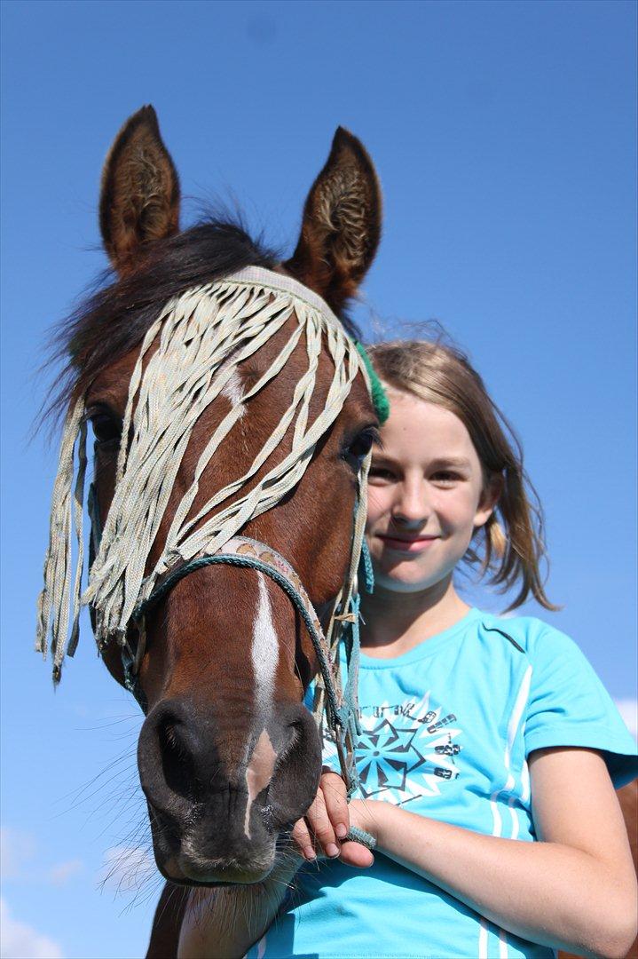 Anden særlig race Calvados  - Du er perfekt Calvados <3 billede 8