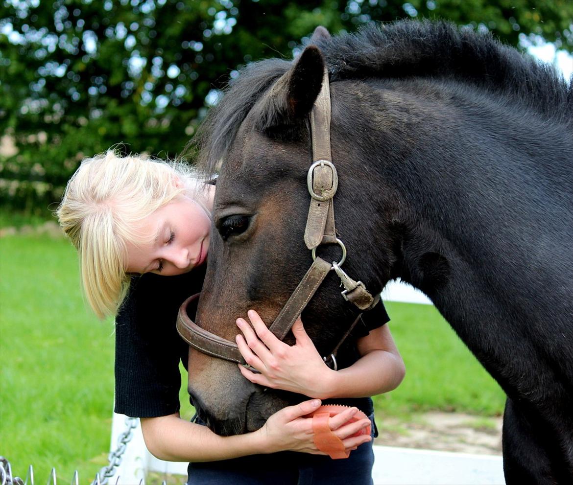 Anden særlig race Vestergaardens Malou billede 6
