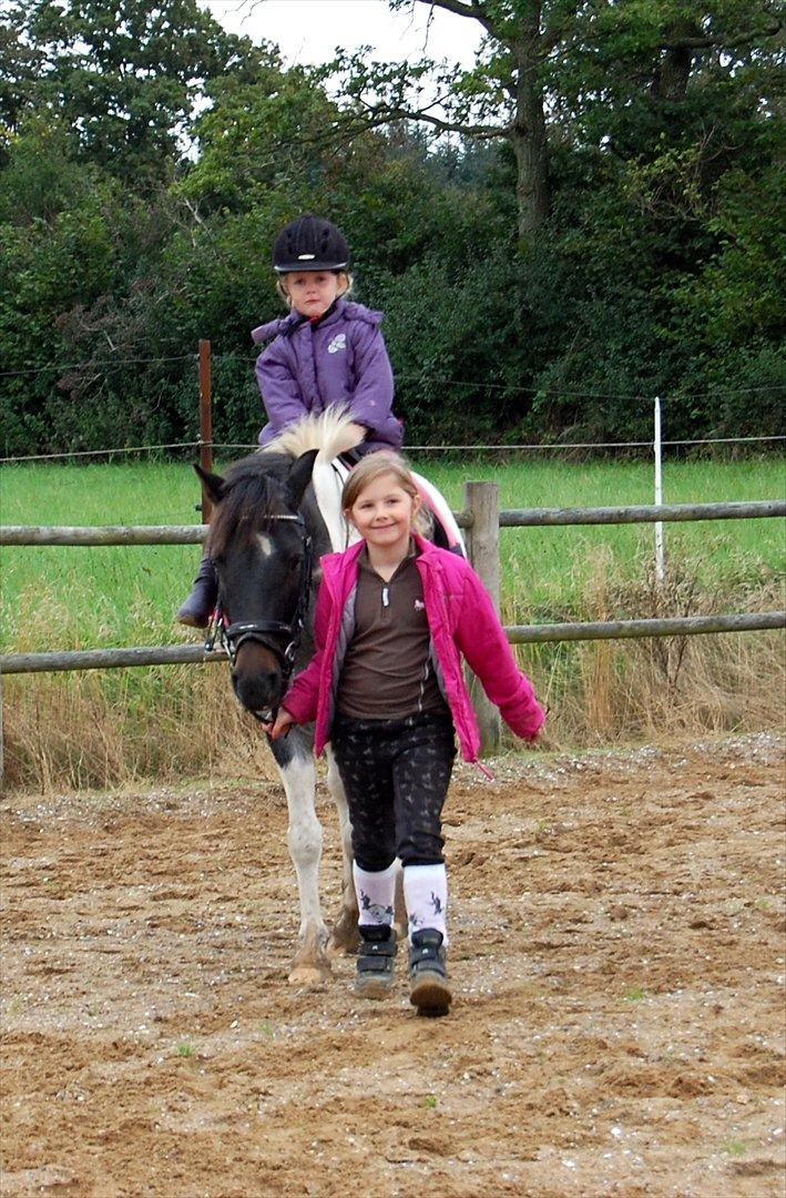 Anden særlig race  Miss Crazy Colored Beauty - Anne Sofie trækker lillesøster Asta Marie på 3 år, en lille tur med Color oppe på ridebanen den 17.09.2011. billede 2