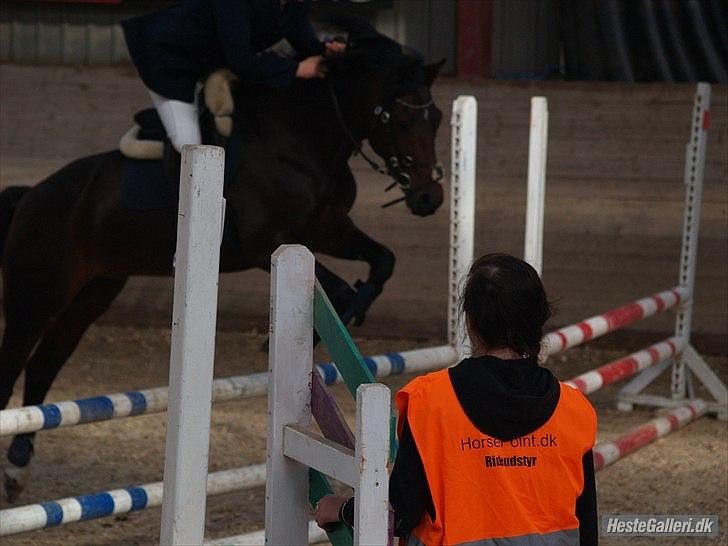 Connemara Loftsome Equinox billede 7