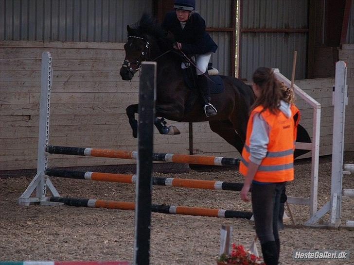 Connemara Loftsome Equinox billede 10