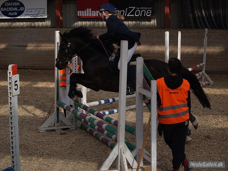 Connemara Loftsome Equinox billede 11