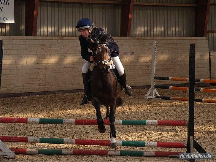 Connemara Loftsome Equinox billede 12