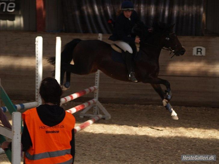 Connemara Loftsome Equinox billede 13