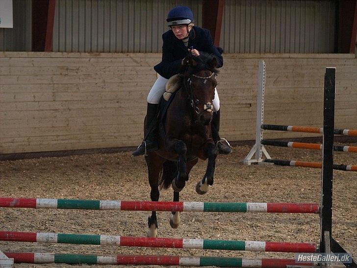 Connemara Loftsome Equinox billede 15