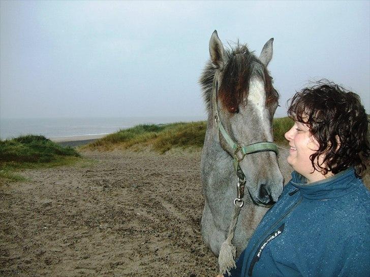 Pura Raza Española Salina DG billede 12