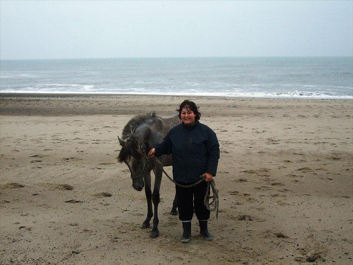 Pura Raza Española Salina DG billede 15