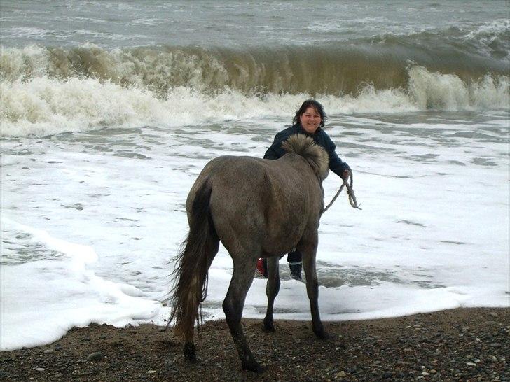 Pura Raza Española Salina DG - Her fik jeg i hvert fald våde fødder :D billede 17