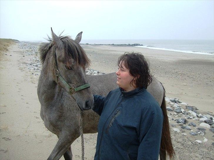 Pura Raza Española Salina DG billede 18