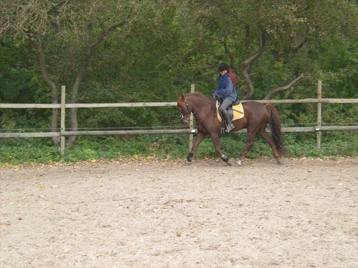 Anden særlig race Awesome Zeus(:- - Første gang på Bum!<3 billede 7