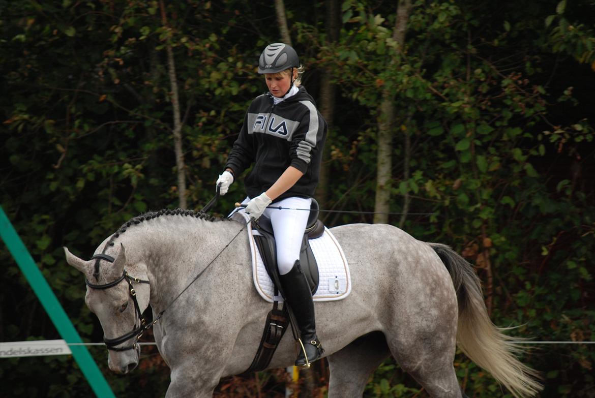 Holstener Fruerholms Agent (James) billede 11