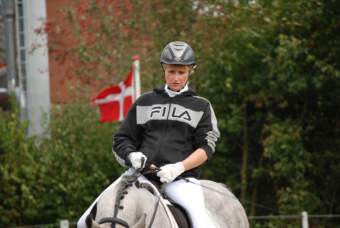 Holstener Fruerholms Agent (James) billede 12