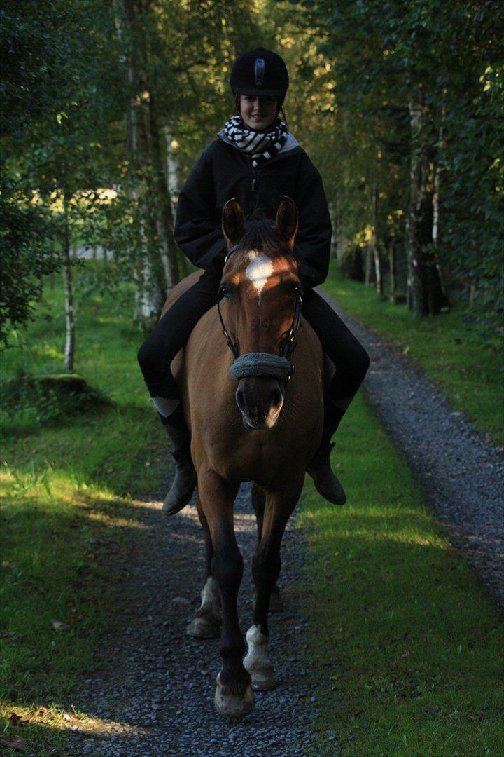 Anden særlig race | Luna   [Min bedsteven] - © Hyggelig lille tur vi tog med Maria og Laura. 
Fotograf - MLS / Efterår 2011.  billede 17