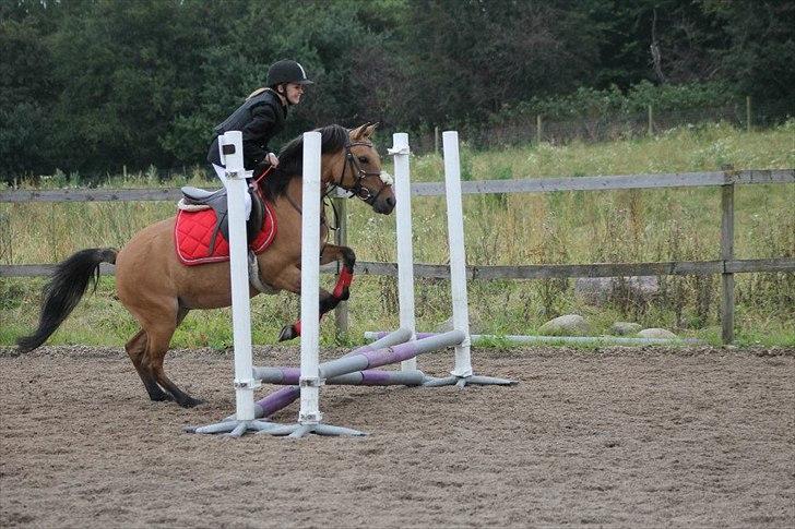 Anden særlig race Smukke Pocahontas!<3 - vores andet ude stævne sammen og du var en drøm ! <3  billede 18