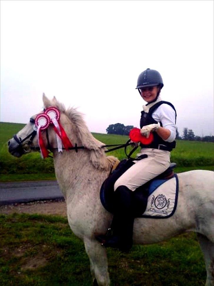 Connemara Philipstatt's Gaia, min soulmate - 18-sep-2011
Syddjursrideklub billede 14