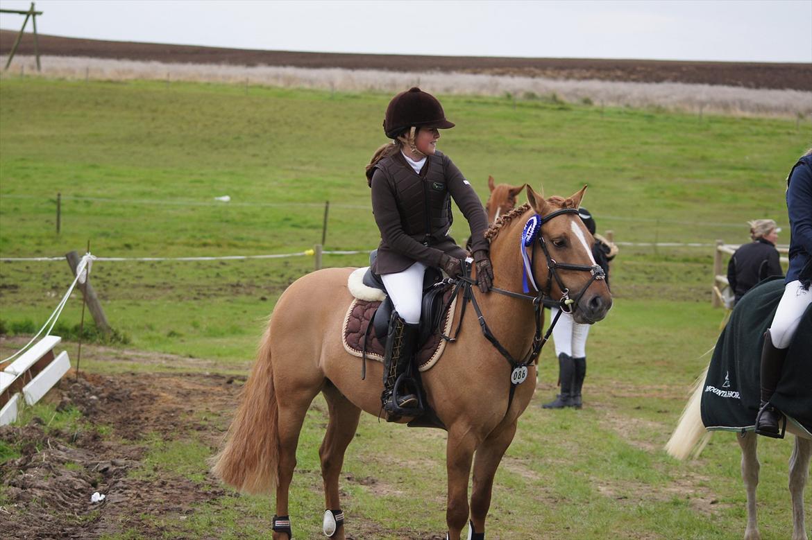 Anden særlig race Idefix billede 9