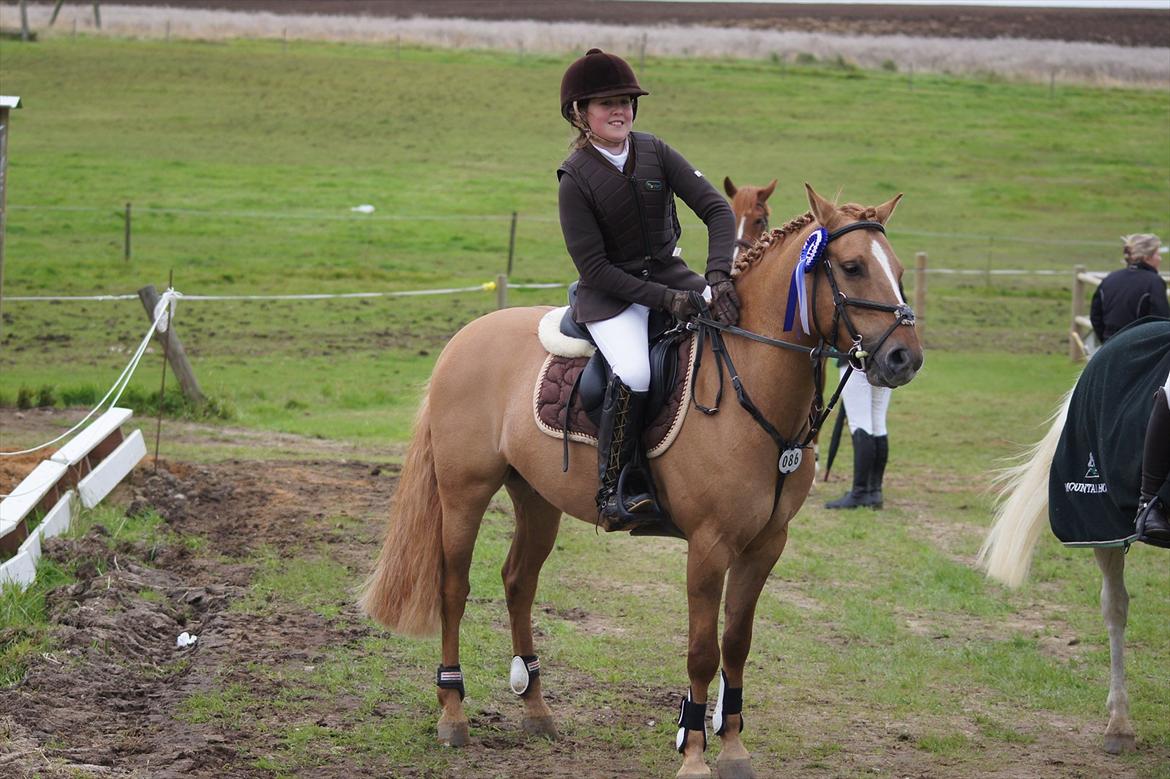 Anden særlig race Idefix billede 4