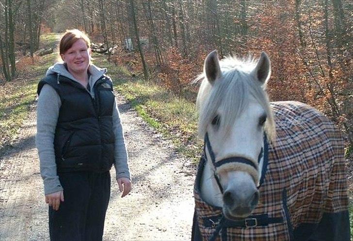 Anden særlig race Little Lipton McCartney alias Dudie - Dudie løs i hegnet billede 4