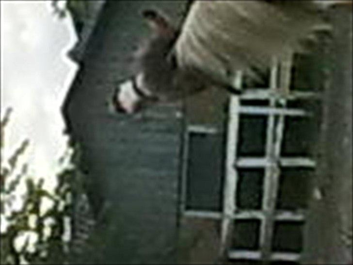 Anden særlig race Hedegårdens Savannah<3my soulmate<3I miss you babe - smil!! du skulle bare smile til mig i stedet for til himlen ;D  billede 6