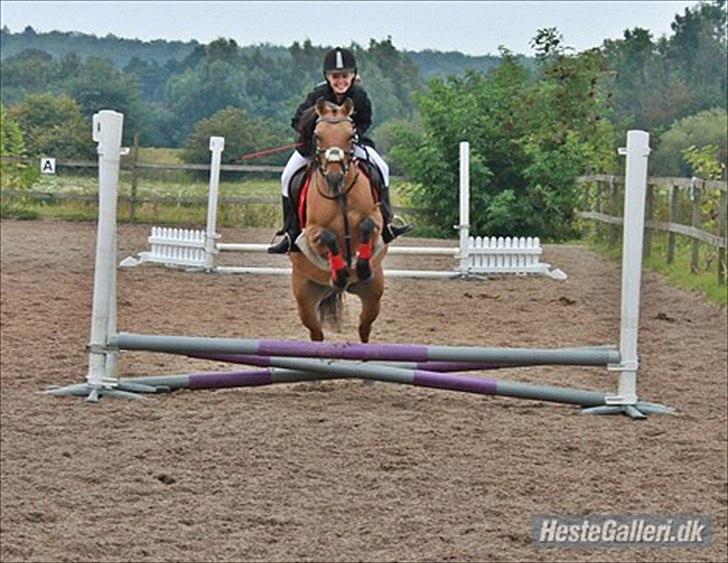 Anden særlig race Smukke Pocahontas!<3 - Springstævne<3 vi er så glade sammen :D  billede 17