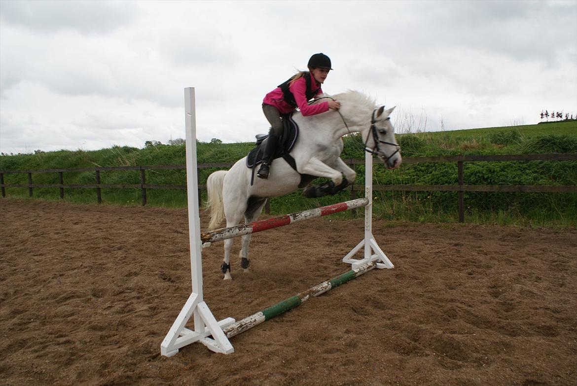 Welsh Pony (sec B) Korreborgs Henriette billede 20