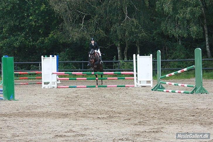 Anden særlig race Holtegårdens Splif - Spring ballerub, lb billede 14