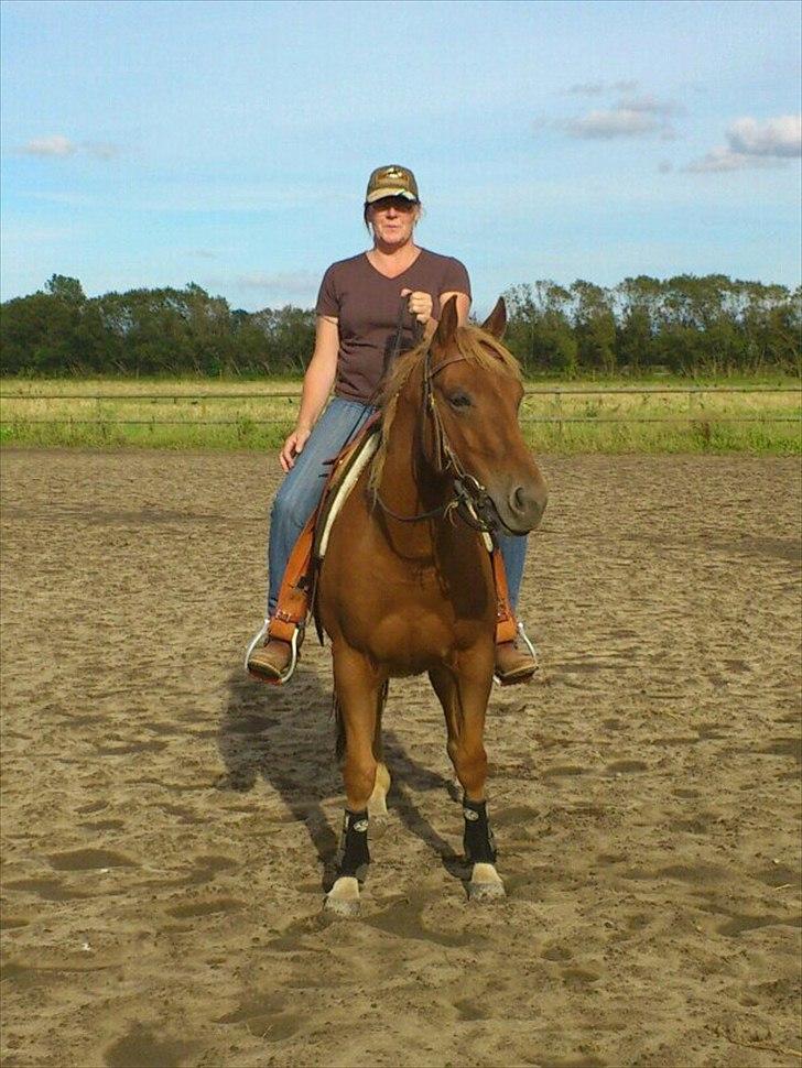 Quarter Are U Whiz Me billede 1