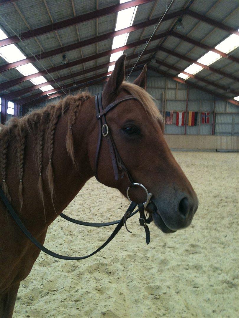 Quarter Are U Whiz Me billede 2