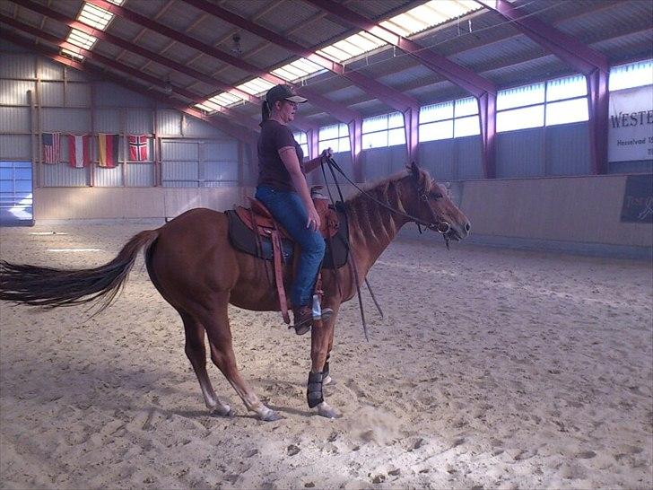 Quarter Are U Whiz Me - Vi spinner...............puha bliver helt rundtosset billede 3