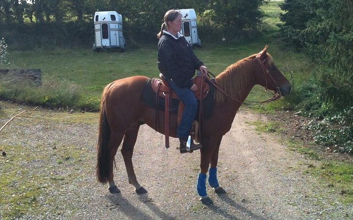 Quarter Are U Whiz Me billede 5