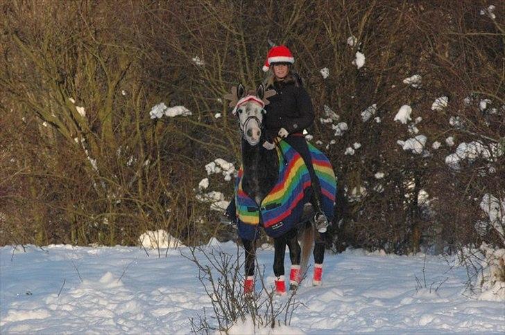 Oldenborg Cassandra *STJERNE* - Jul 2010<3 December 2010 *Foto: Louise
 billede 10
