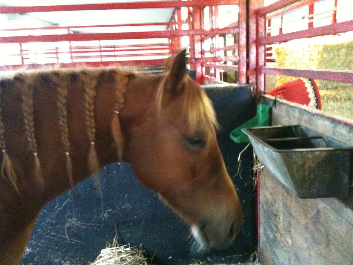 Quarter Are U Whiz Me billede 8