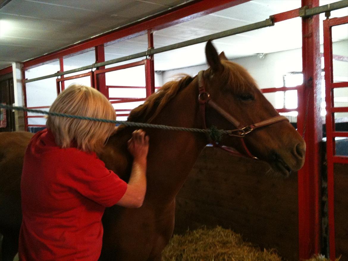 Quarter Are U Whiz Me - Massage er dejligt billede 9