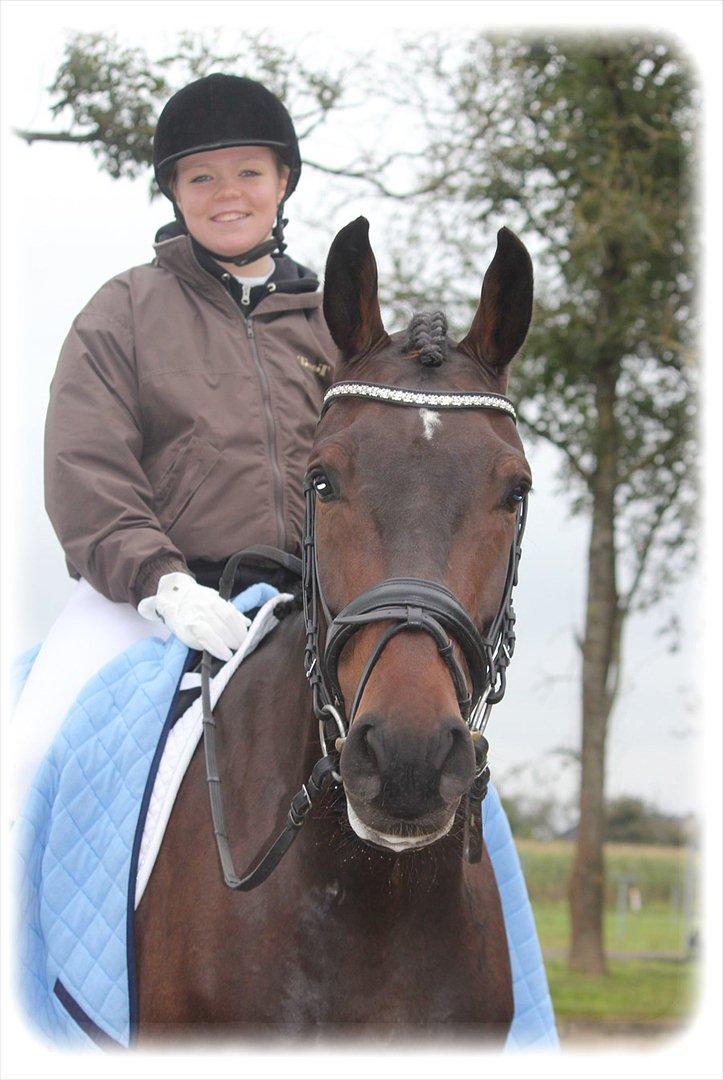 Dansk Varmblod Ullerups Krumme - Til stævne i Nr. Hostrup billede 3