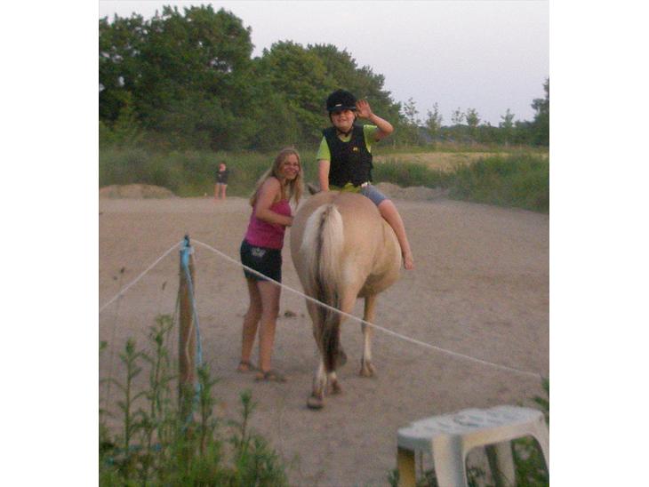 {{currentPhoto.altText}} billede {{currentPhoto.number}}