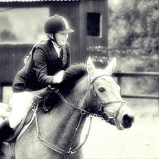 Anden særlig race Mescalero *mit et og alt*savnet  'R.I.P'