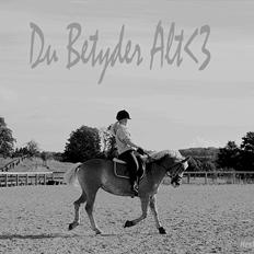 Haflinger Studgårdens Sally<3 *STJERNEN* Savnet :'(<3