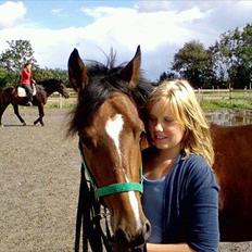 DSP No Added Sugar <3