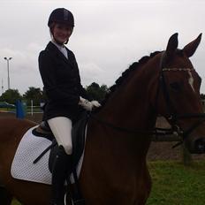 Trakehner Papaya Runehøj