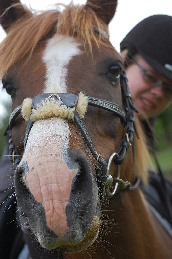 Anden særlig race Krumme  - Krumme klør sig ~ 23. maj
Fotograf: Cathrine billede 4