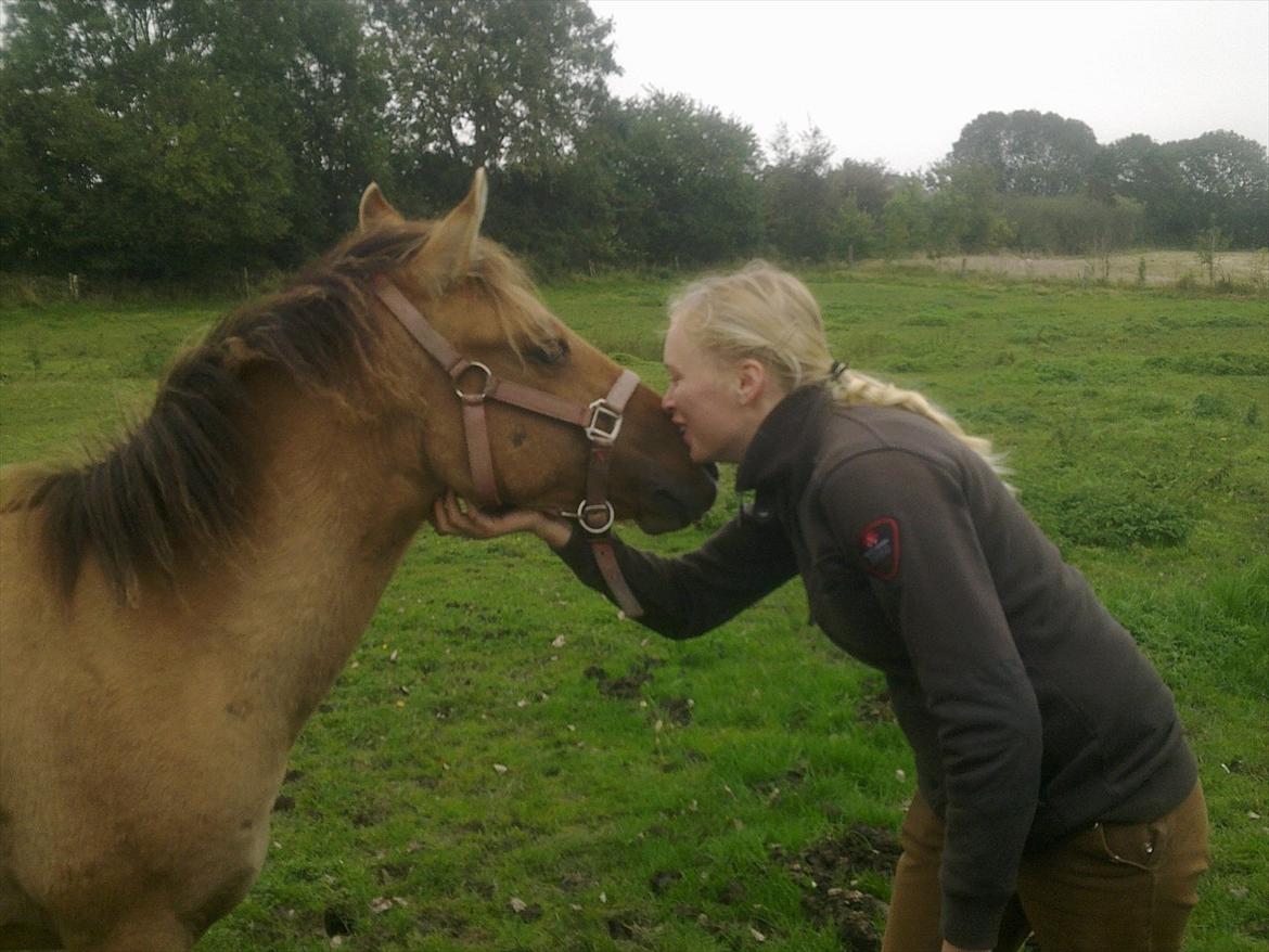 Anden særlig race Picasso billede 7