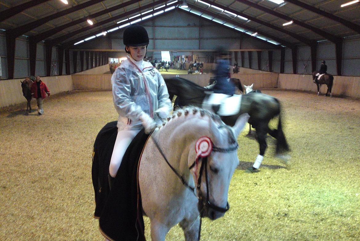 Hollandsk Sportspony LOOK AT ME - Luffe og jeg efter første stævne (:
La1 70% og vinder klassen 
 billede 11