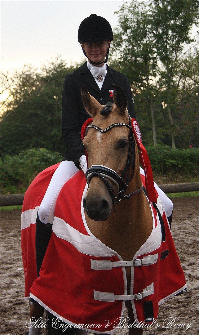 Tysk Sportspony Bodethal's Romy A-pony billede 3