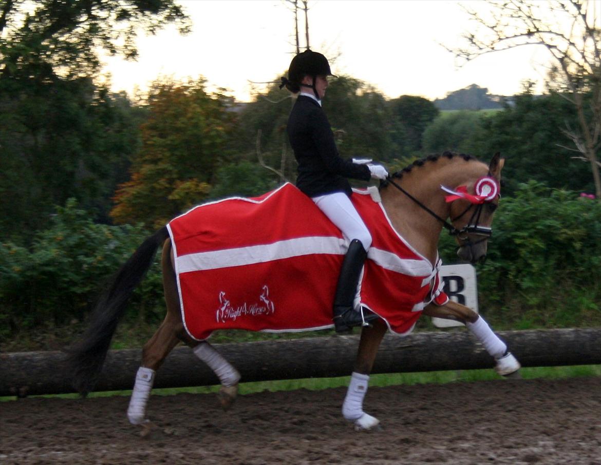 Tysk Sportspony Bodethal's Romy A-pony - Romy's første æresrunde :) billede 18