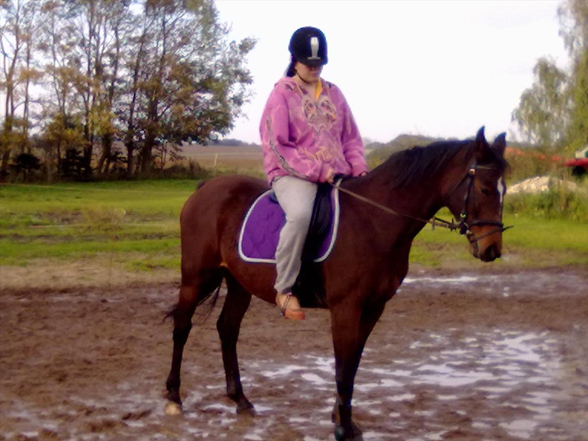 Dansk Varmblod Majbrit *Tøzen*  - mig og søde Majbrit

Foto: Mig billede 20