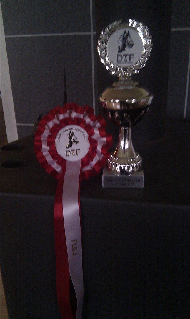 Tinker Hersomgårds Conan Mac Oc - Conans fine roset og pokal :-) billede 20