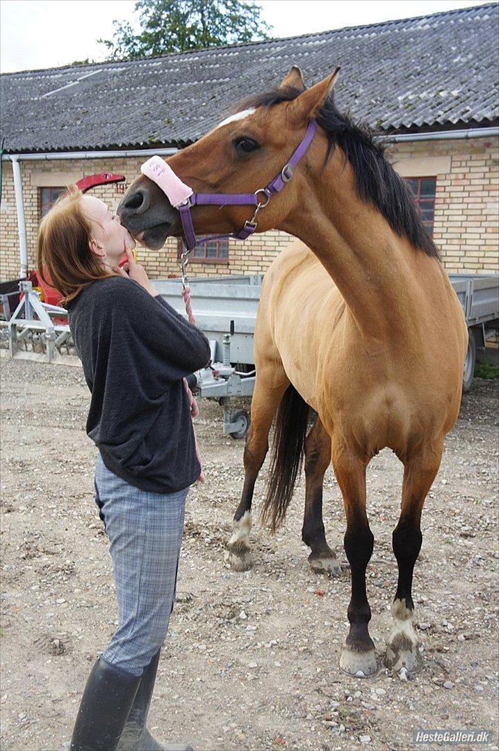Anden særlig race Luna - Kysse :) billede 13