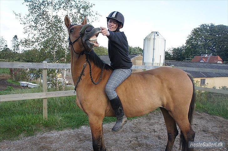 Anden særlig race Luna - :P billede 2