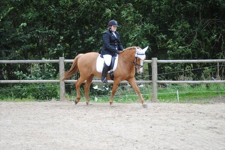 DSP Thaïs (Smukke) - stævne i syddjurs sportsrideklub D.17 2011 billede 19